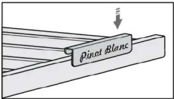 Pinot Blanc