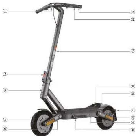Yadea Elite Max - Oversigt og funktioner - 1