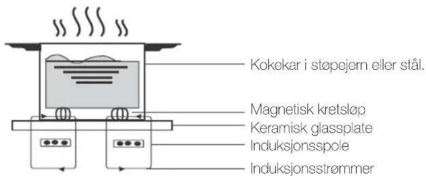 Ecotronic EIP590 - Viktige sikkerhetsinstruksjoner - 1