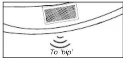 To 'bip'
