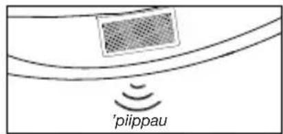 'plippau