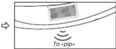 To «pip»