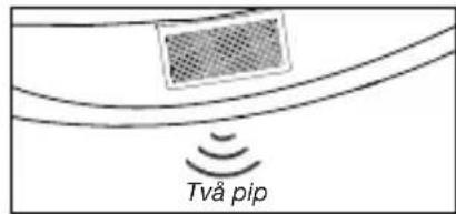 Två pip