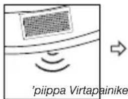 'piippa Virtapainike