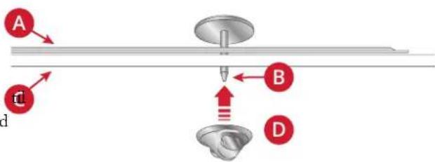 A B D