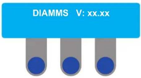 DIAMMS V: xx.xx
