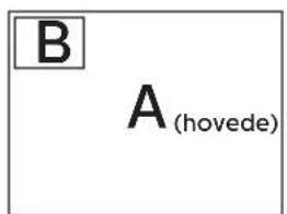B A_(hovede)