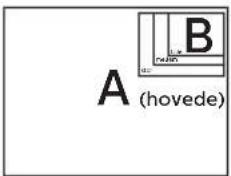 A (hovede) B L. 4 nathin