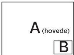 A (hovede) B