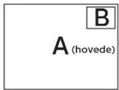 B A (hovede)