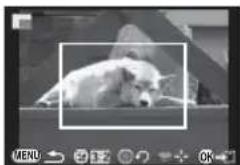 RICOH Q-S1 - 記録サイズを変更する(リサイズ) - 2