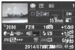 1/2000 F2:8 1600 +1±0 +1±0 G14±0 2014/07/07 36mm