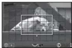 RICOH K-3 - 任意の範囲にピントを合わせる - 1