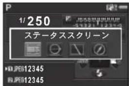 1/250 ステータススクリーン P.P612345 P.P612345