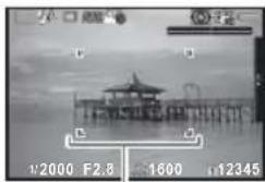 RICOH K-3 - 画像モニターの AF フレーム 内に被写体を入れてシャッターボタン半押し - 1