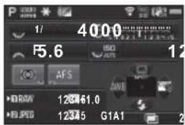 1/ 4000 F5.6 12 AFS • ROW 123461.0 • RJPGD 12345 G1A1