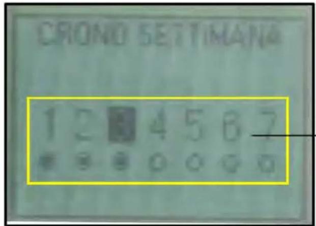 CRONO SETTIMANA 1 2 3 4 5 6 7