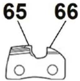 65 66