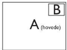A(hovede) B