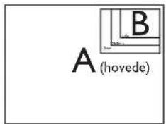 A (hovede) B