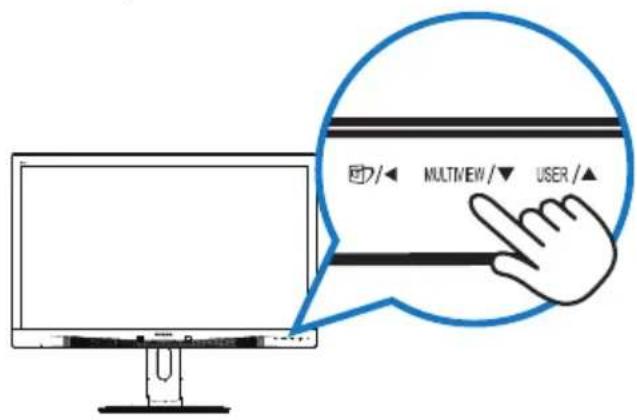 MULTVIEW/▼ USER/▲
