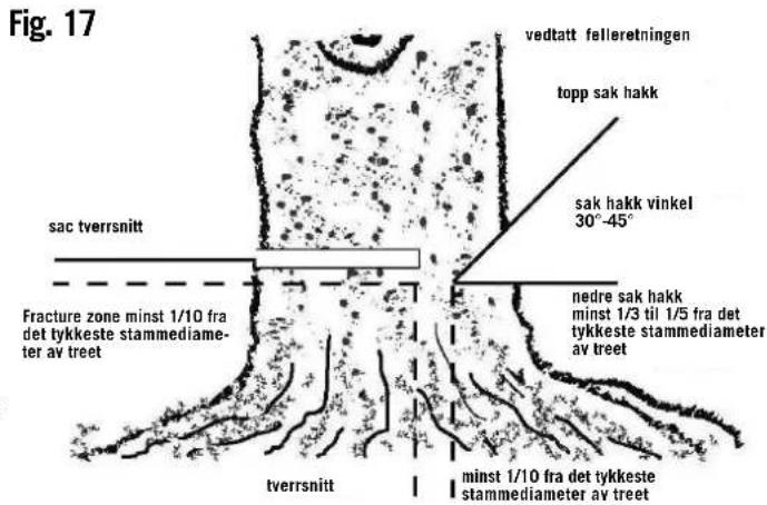 Fig. 17 vedtatt felleretningen topp sak hakk sak hakk vinkel 30°-45° sac tverrsnitt nedre sak hakk minst 1/3 til 1/5 fra det tykkeste stammidiameter av treet Fracture zone minst 1/10 fra det tykkeste stammediam- eter av treet tverrsnitt minst 1/10 fra det tykkeste stammidiameter av treet