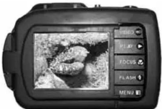 VIDEO PLAY FOCUS FLASH MENU