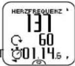 POLAR RCX3 GPS - Trainingsansichten - 18
