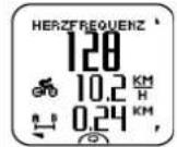 POLAR RCX3 GPS - Trainingsansichten - 17