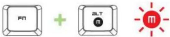 FN + ALT m m