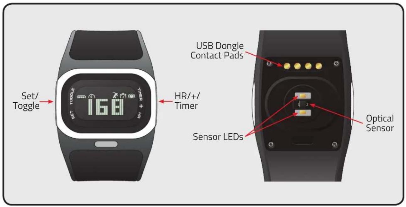 Set/Toggle SET TOWGLE 168 TIMER + USB Dongle Contact Pads HR/+/Timer Sensor LEDs Optical Sensor