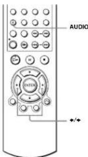AUDIO +/-