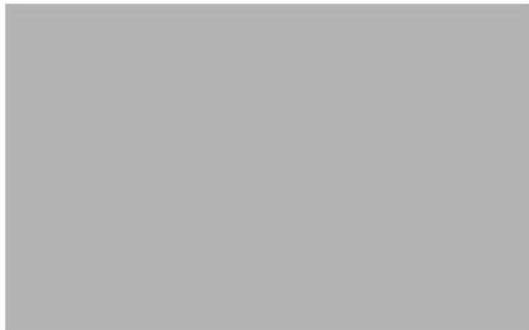 HP 595199-001 - Display - 6
