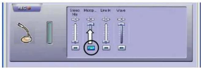 REC Stereo: Microsp... Line In Wave Mia Wave