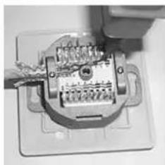Equip Universal surface mounting box - T568A T568B - 3