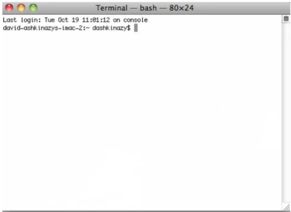Terminal — bash — 80×24 Last login: Tue Oct 19 11:01:12 on console david-ashkinazys-imac-2:~ dashkinazy$