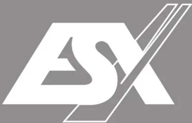 ESX XE5.2C - INSTALLATION OF THE CROSSOVER - 2