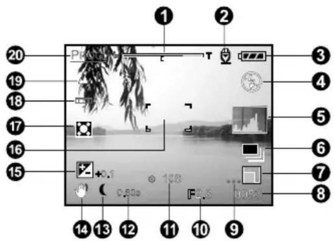 1 2 3 4 5 6 7 8 9 10 11 12 13 14 15 16 17 18 19 20 Photo