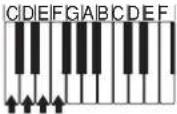 CASIO LK-56 - Akkord-Typen - 4