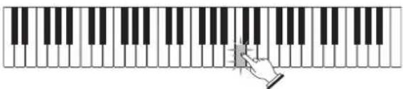 CASIO LK-56 - Stufe 2 - Meistern Sie die Melodie. - 2