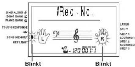 iRec·No. SING ALONG & SONG BANK & PIANO BANK & TOUCH RESPONSE GM SONG MEMORY & KEY LIGHT L : 3 R =120.00:1 Blinkt Blinkt LAYER SPLIT STEP 1 SCORING 1 STEP 2 SCORING 2 STEP 3