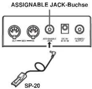 CASIO LK-56 - Zuordnungsbare Buchse - 1