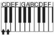 CASIO LK-56 - Akkord-Typen - 2