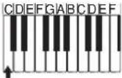 CASIO LK-56 - Akkord-Typen - 1