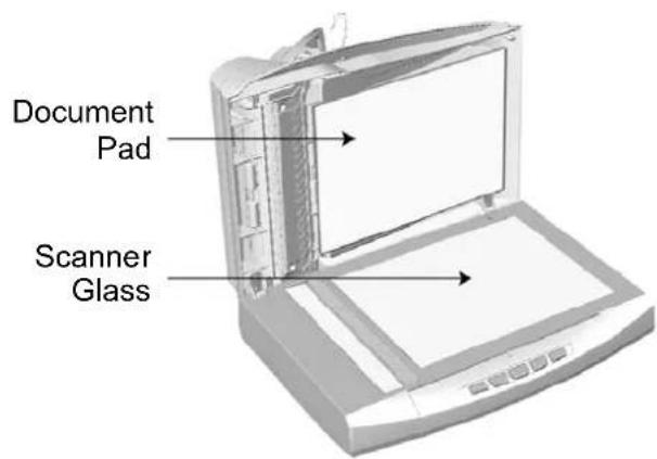 Document Pad Scanner Glass