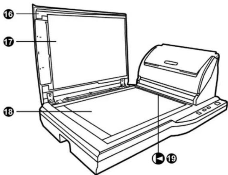 Technical diagram of a printer with numbered parts labeled 16, 17, 18, and 19