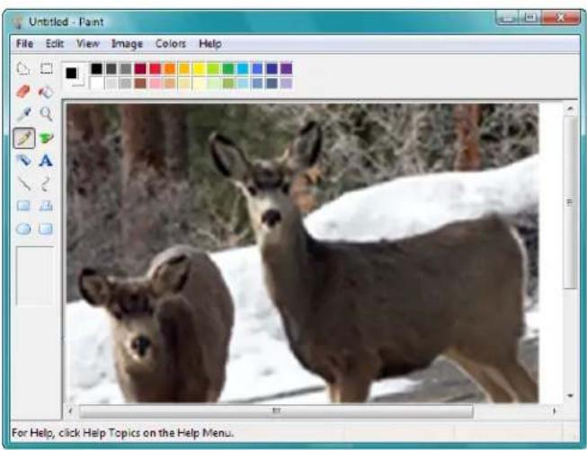 XEROX DocuMate 3460 - Scan using WIA from Microsoft Paint - 3