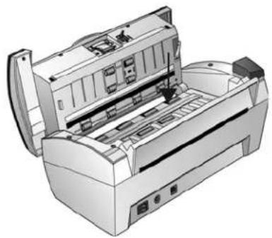 XEROX DocuMate 3460 - Reinigen des Vorlagenglases - 1