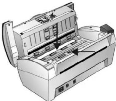 XEROX DocuMate 3460 - Reinigen des automatischen Vorlageneinzugs - 4