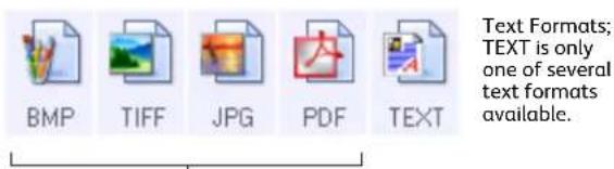Text Formats; TEXT is only one of several text formats available. BMP TIFF JPG PDF TEXT